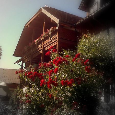 Ferienwohnungen Fischerhaus - Direkt Am See 밀슈타 외부 사진