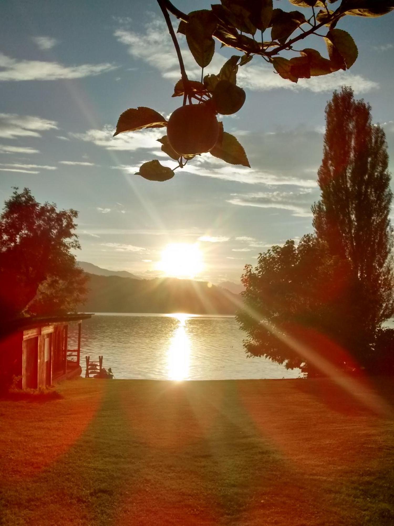 Ferienwohnungen Fischerhaus - Direkt Am See 밀슈타 외부 사진