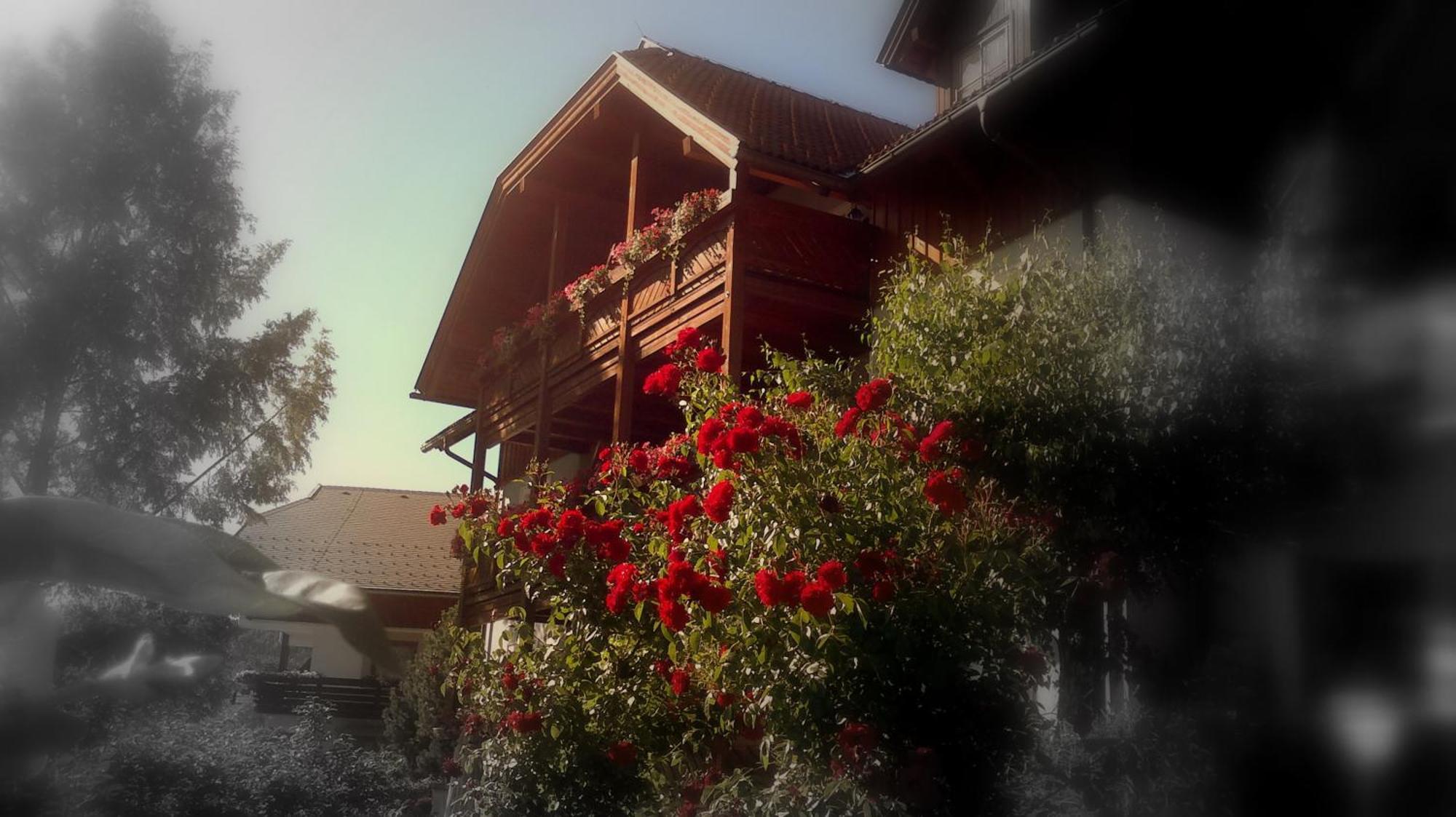 Ferienwohnungen Fischerhaus - Direkt Am See 밀슈타 외부 사진