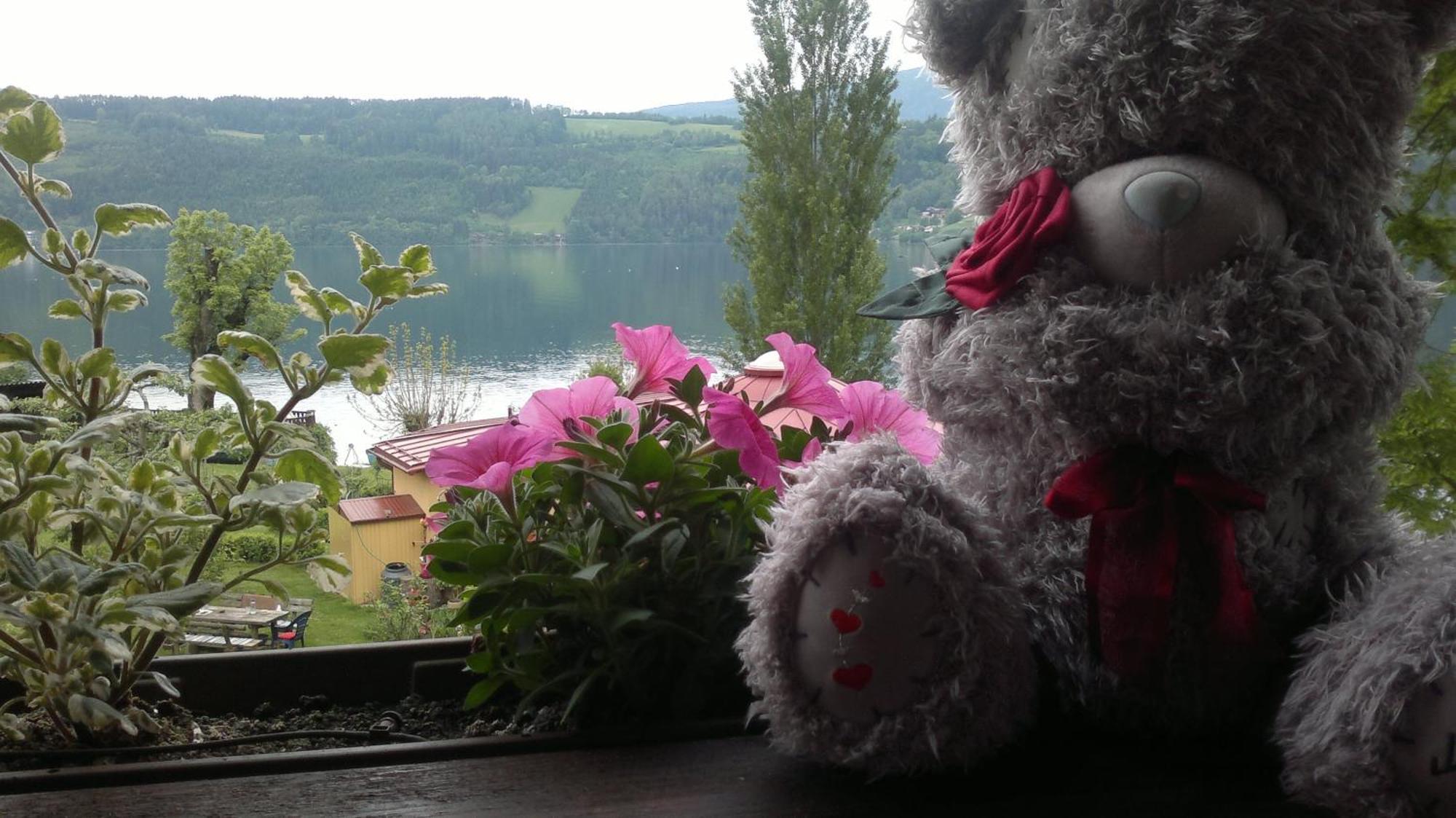 Ferienwohnungen Fischerhaus - Direkt Am See 밀슈타 외부 사진